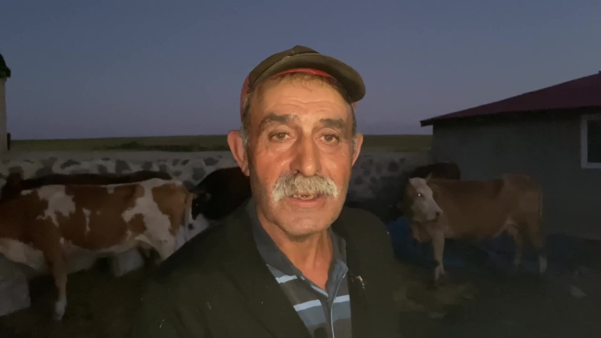 Ardahan'da üreticiler şap hastalığından dert yandı: "Hayvanlarımız ölmek üzere, acil yardım bekliyoruz"