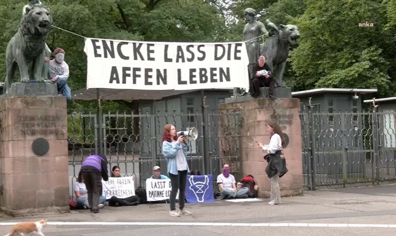 Nürnberg hayvanat bahçesi önünde şebeklerin öldürülmesine karşı protesto