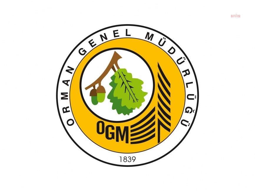 OGM: Çankırı’daki orman yangını kontrol altına alındı