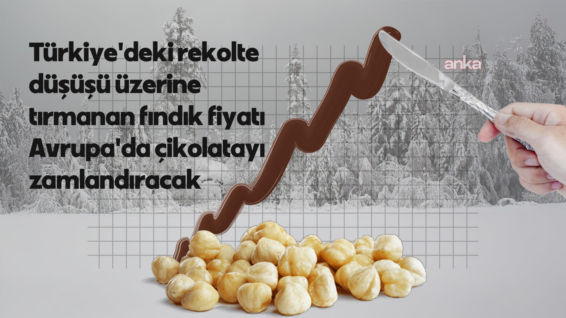 Türkiye'de fındığı vuran zirai donun faturasını Avrupalı çikolata tutkunları ödeyecek