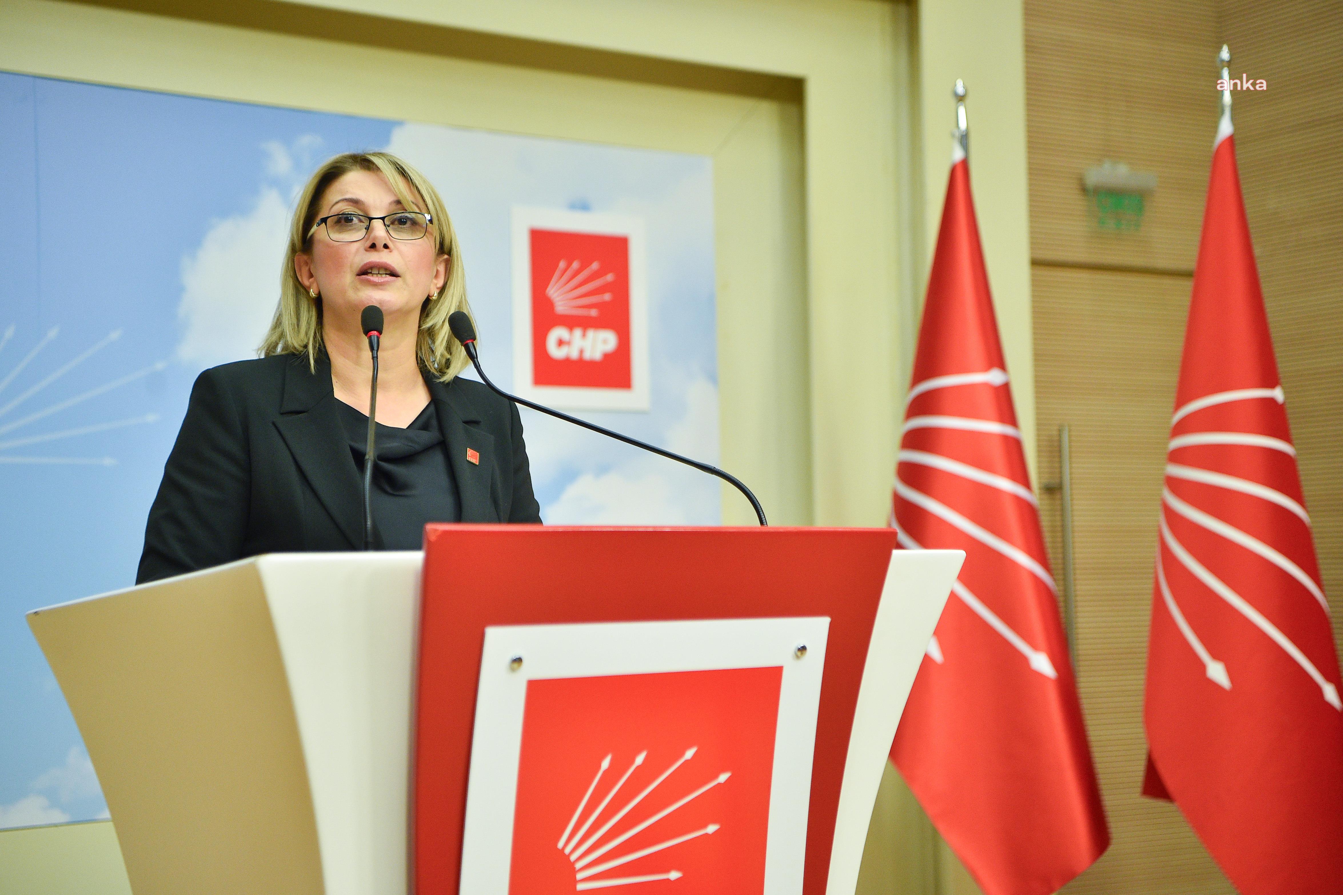 CHP'li Asu Kaya: Kadınların özgür ve güvenli yaşamadığı bir ülkede doğurganlık artmaz