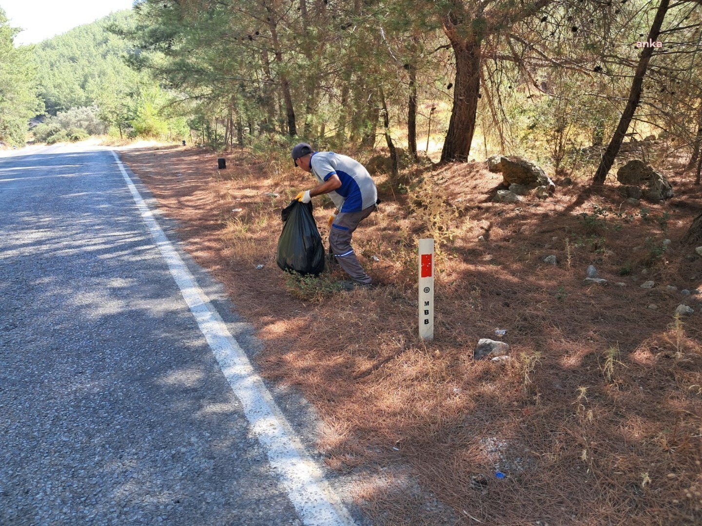Bodrum’da orman yangını riskine karşı temizlik çalışmaları sürüyor