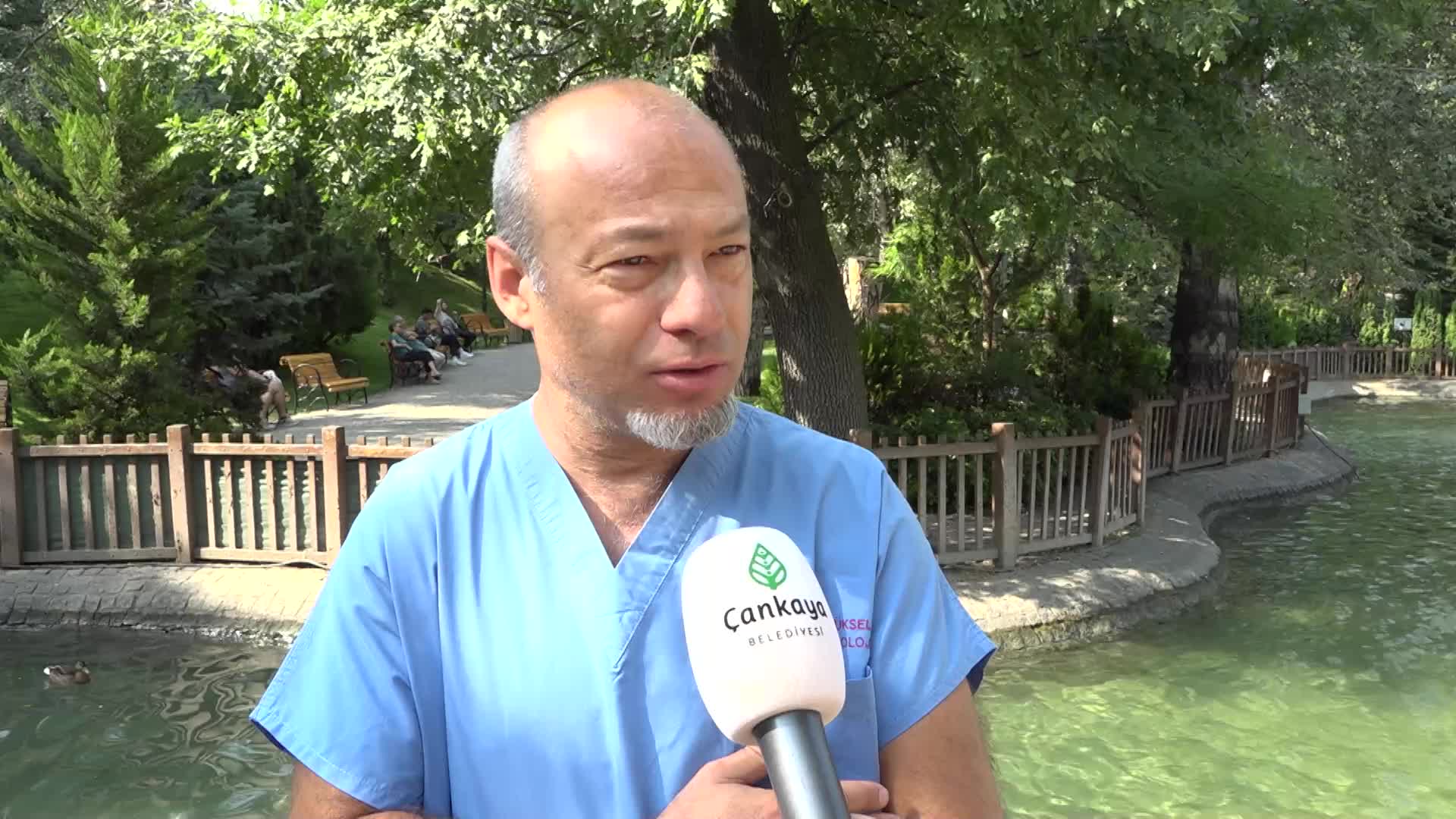 Yaralı yavru ördek, Kuğulu Park ailesine katıldı