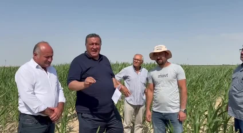 CHP'li Gürer: "Çiftçi ya ekim zamanı ya da hasat öncesi ithalat sopasıyla karşı karşıya kalıyor"