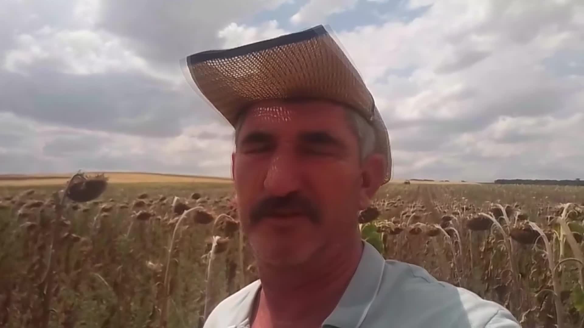 Edirne'nin Lalapaşa İlçe Ziraat Odası Başkanı Öztürk: "Biz ayçiçeği ekmekten vazgeçiyoruz"