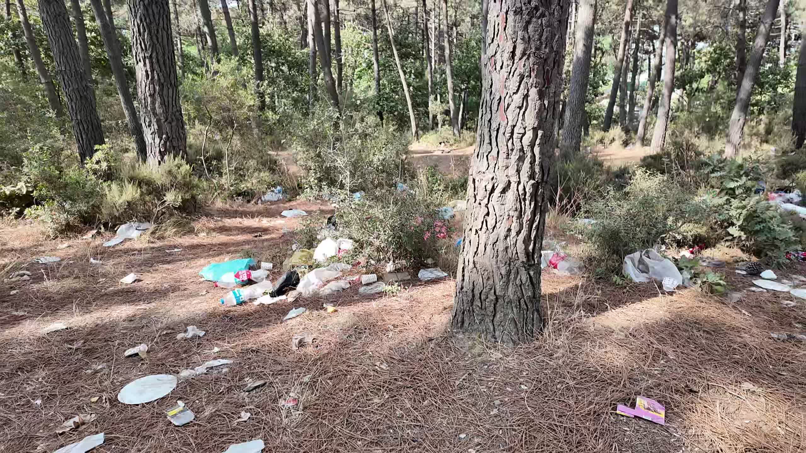 Çekmeköy Belediyesi'nden ormanlarda temizlik seferberliği