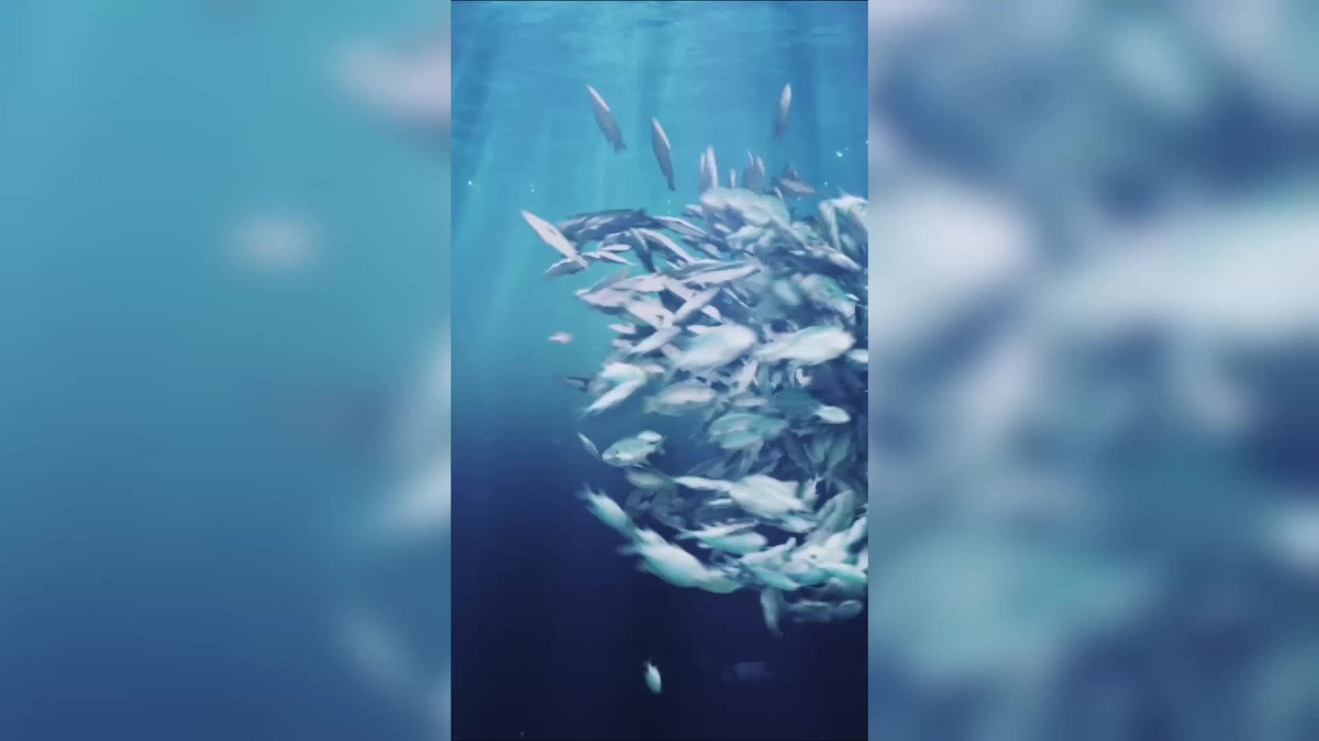 Deniz Ürünleri Festivali, gastronomi tutkunlarını Marmaris'te buluşturacak