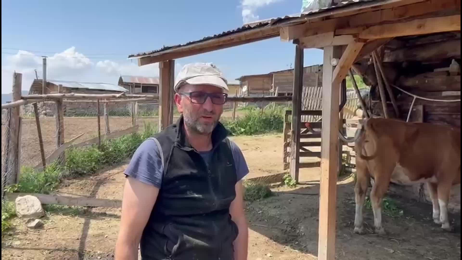 Artvin Şavşat’ta şap hastalığı yayılıyor: Üretici zor durumda