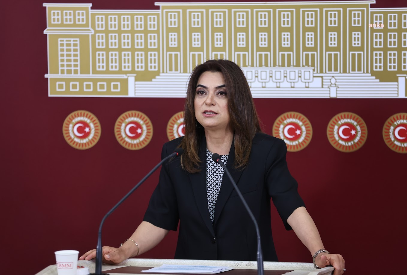 DEM Parti'li Gülistan Kılıç Koçyiğit: Daha dün aynı koridorlarda birlikte çalıştığımız bir kadın, bugün yaşam mücadelesi veriyor