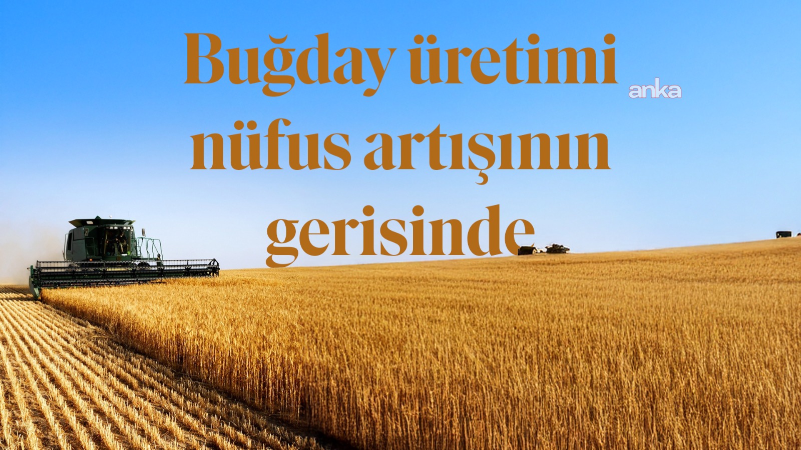 Türkiye nüfusu son 14 yılda  12 milyon artarken buğday ekilen tarım arazileri 1 milyon hektar azaldı