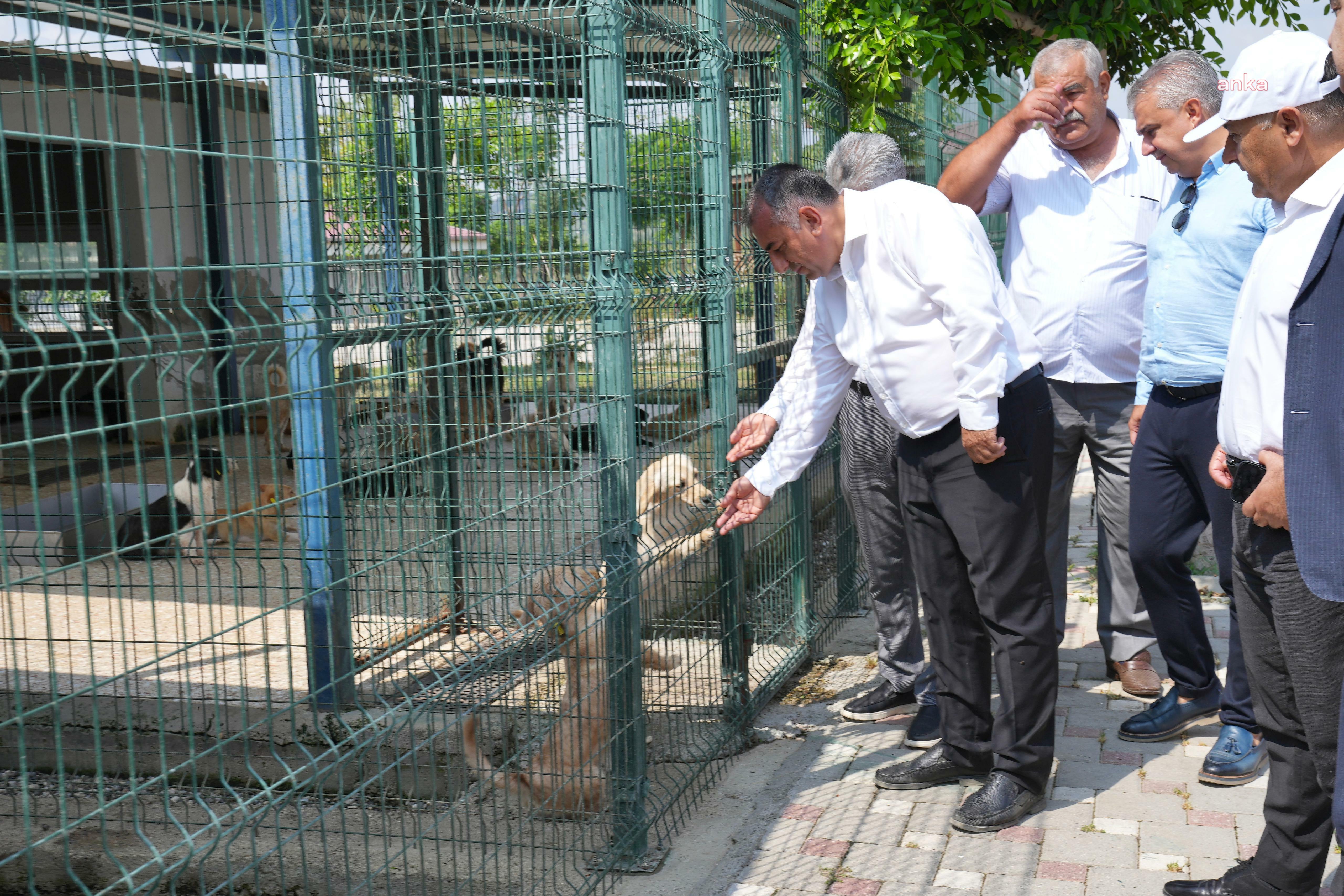 Adana Büyükşehir Belediye Başkan Vekili Geçer'den Hayvan Bakımevi’nde inceleme