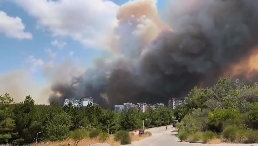 Çanakkale'de orman yangını... Çanakkale Valiliği: Saçaklı, Ahmetçeli ve Doğanca köyleri tedbiren tahliye edildi
