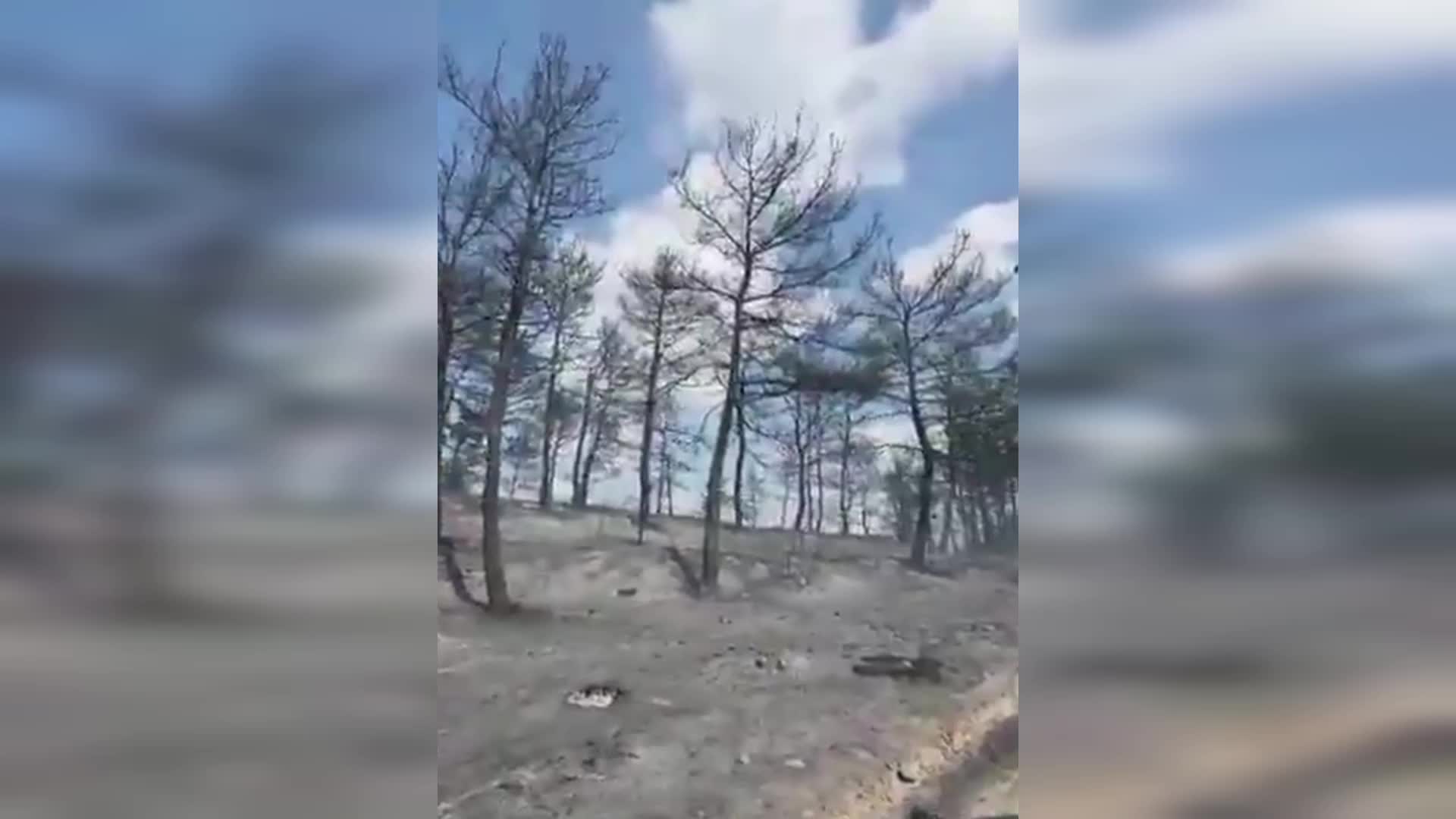 Çanakkale'de orman yangını...Çanakkale Belediyesi: Özel Koruhan Yaşlı Bakım Merkezi tahliye edildi