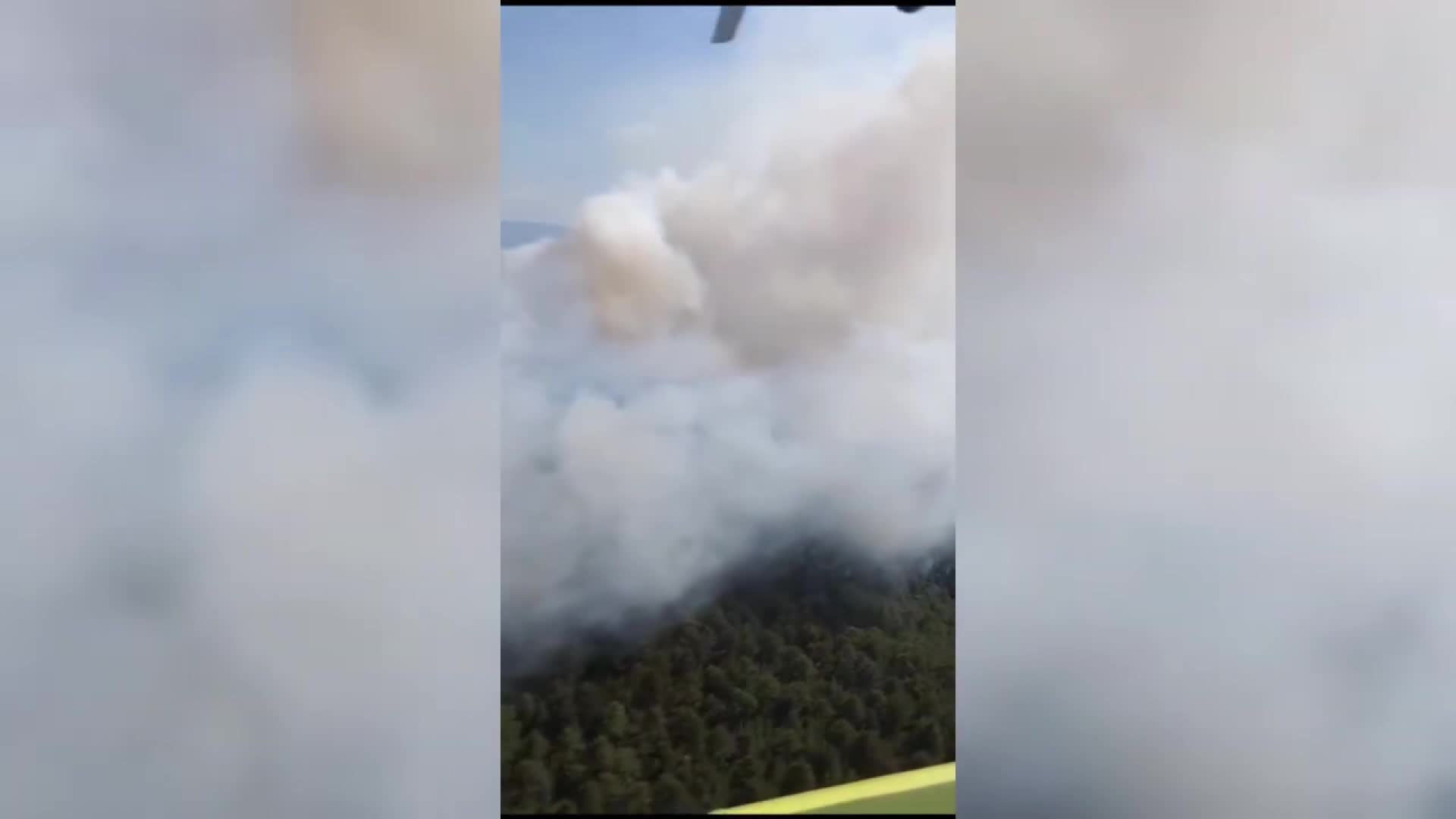 Sinop’ta orman yangını: Bir köy tahliye edildi