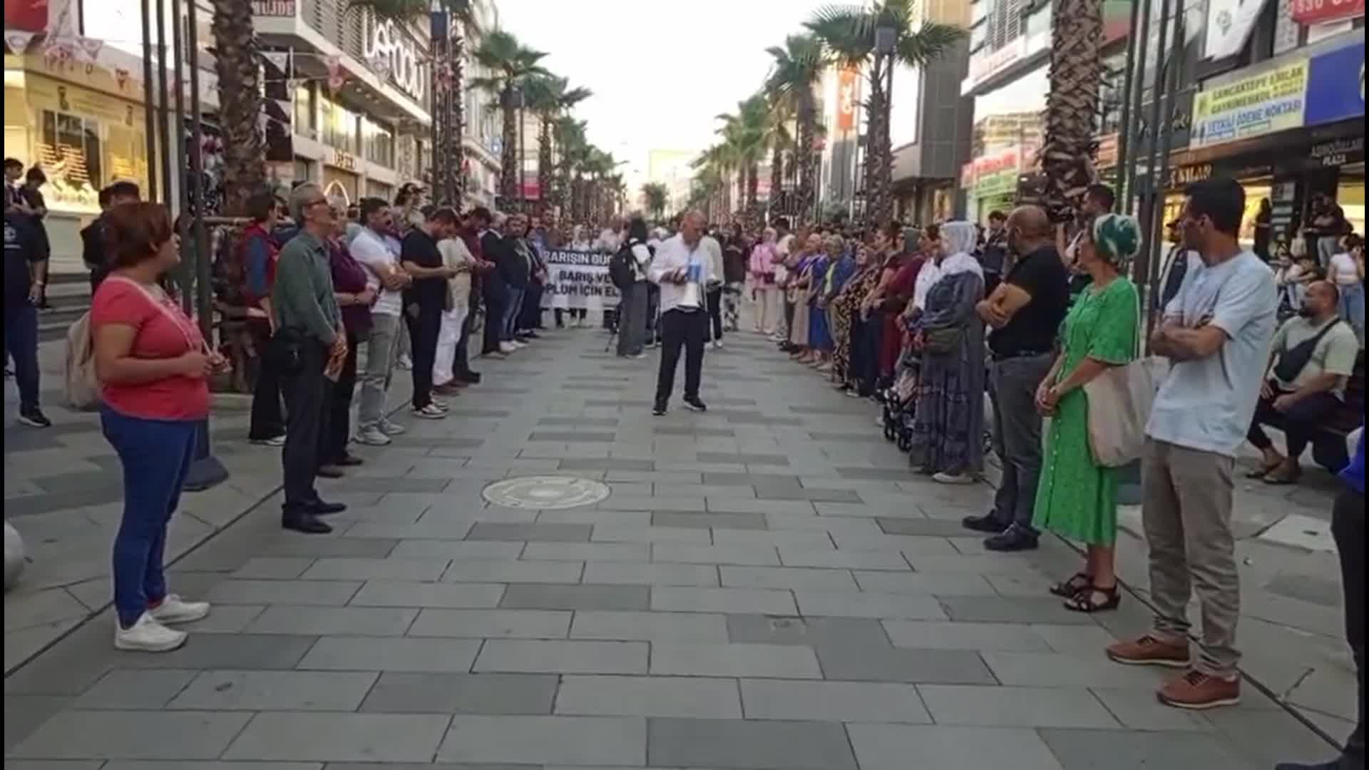 DEM Parti'den 'barış için insan zinciri' eylemi