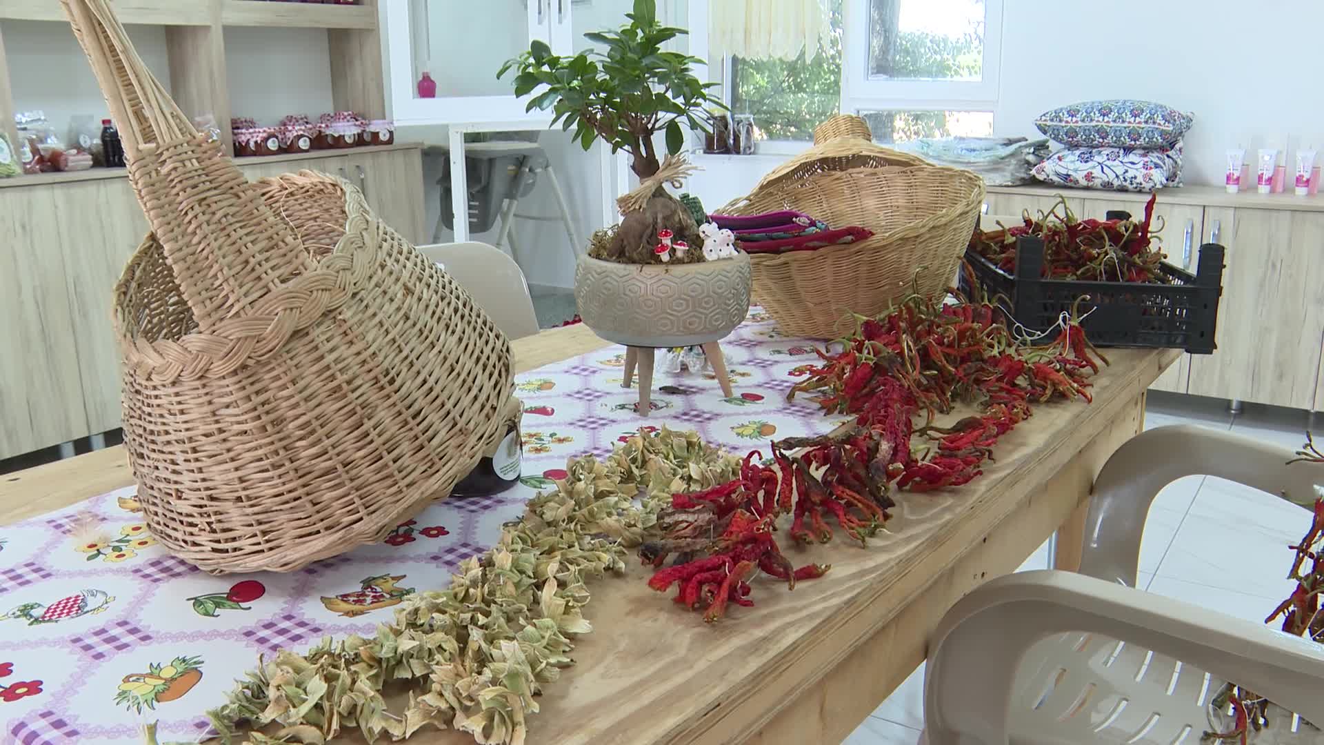 Antalya Büyükşehir Belediyesi’nden kadınlara üretim desteği