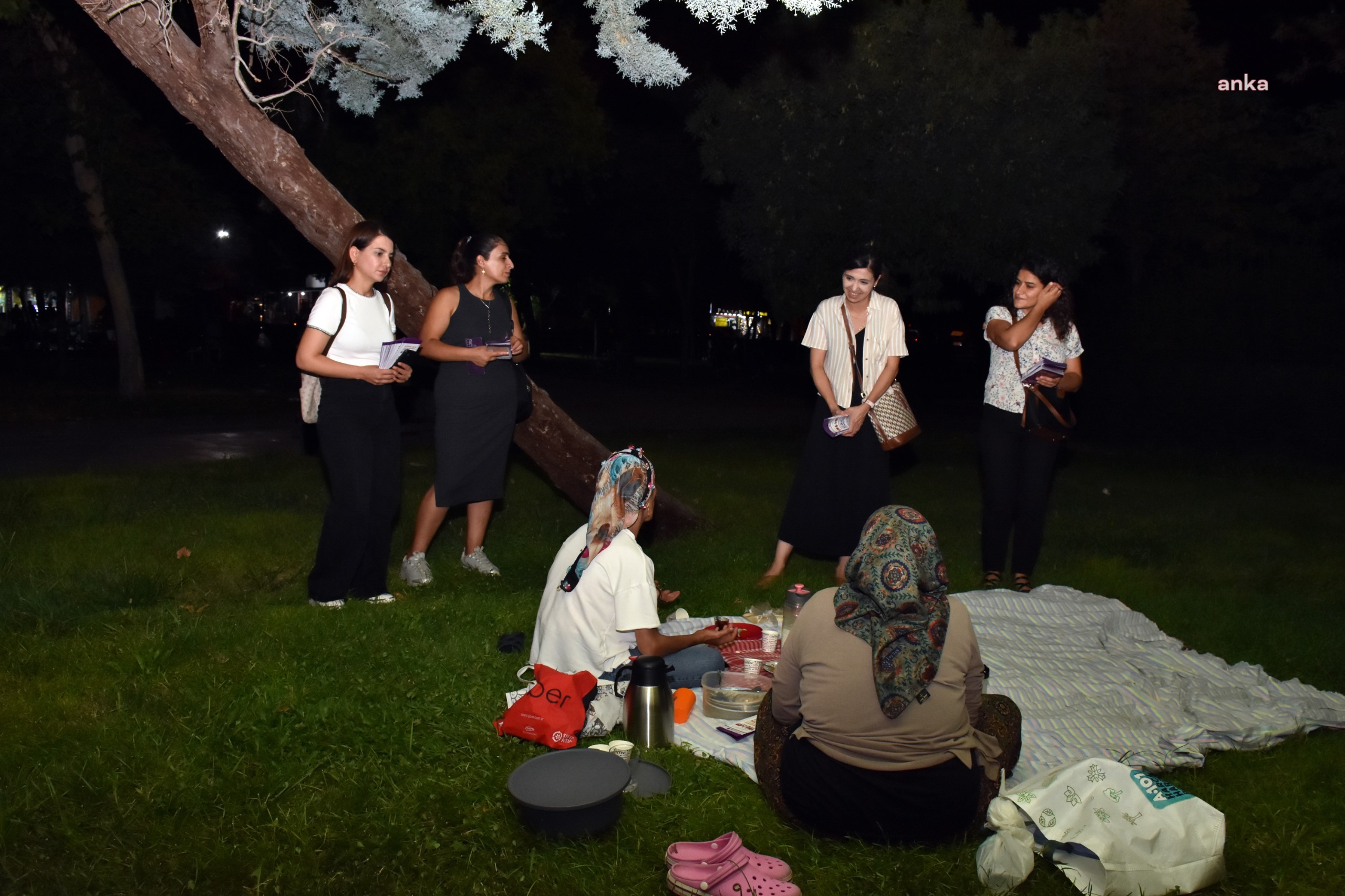 Diyarbakır’da kadın cinayetlerine karşı farkındalık çalışması başlatıldı