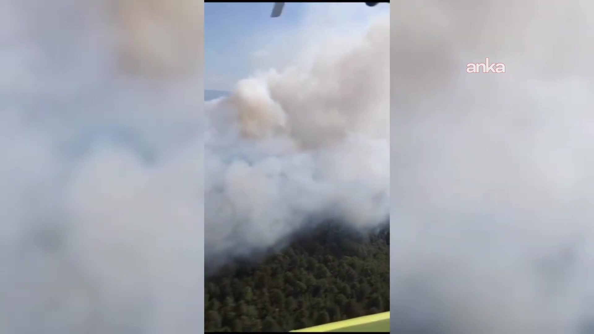 Sinop'taki orman yangınında soğutma çalışmaları sona erdi