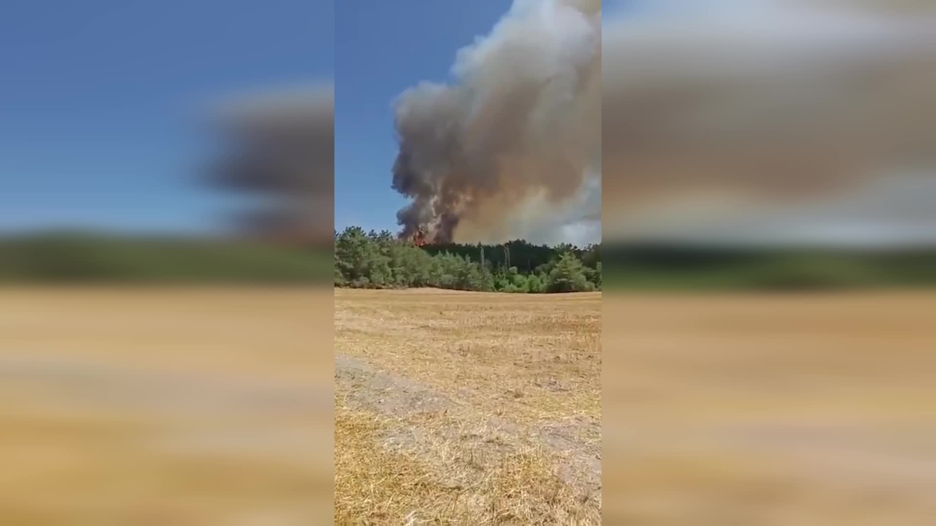Bolu’nun Mudurnu ilçesinde yangın