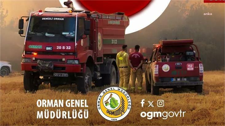 Orman Genel Müdürlüğü: Bu yıl şu ana kadar 5 binden fazla yangınla mücadele ettik