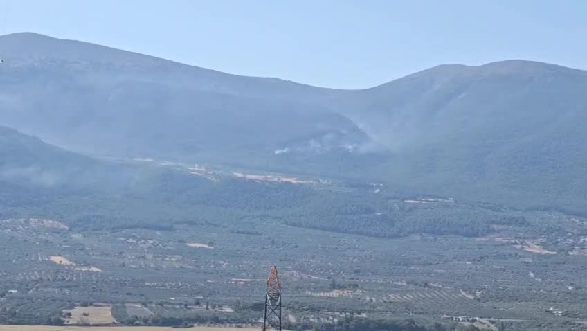 Manisa Alaşehir’deki orman yangını kontrol altına alındı