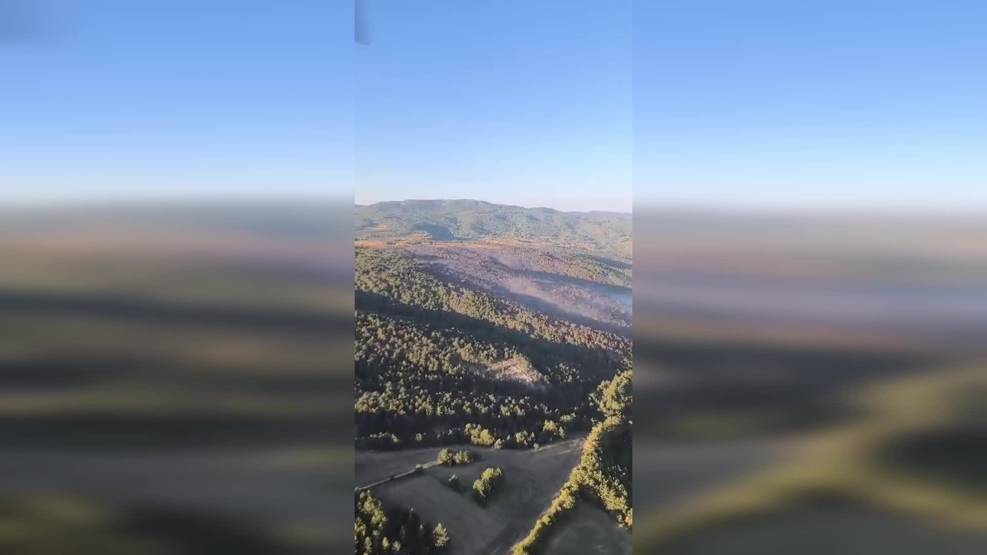 Bolu'daki yangın kontrol altına alındı