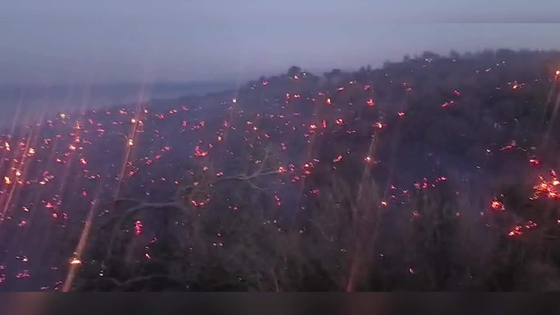 Dikili Çandarlı'da çıkan orman yangını kontrol altına alındı