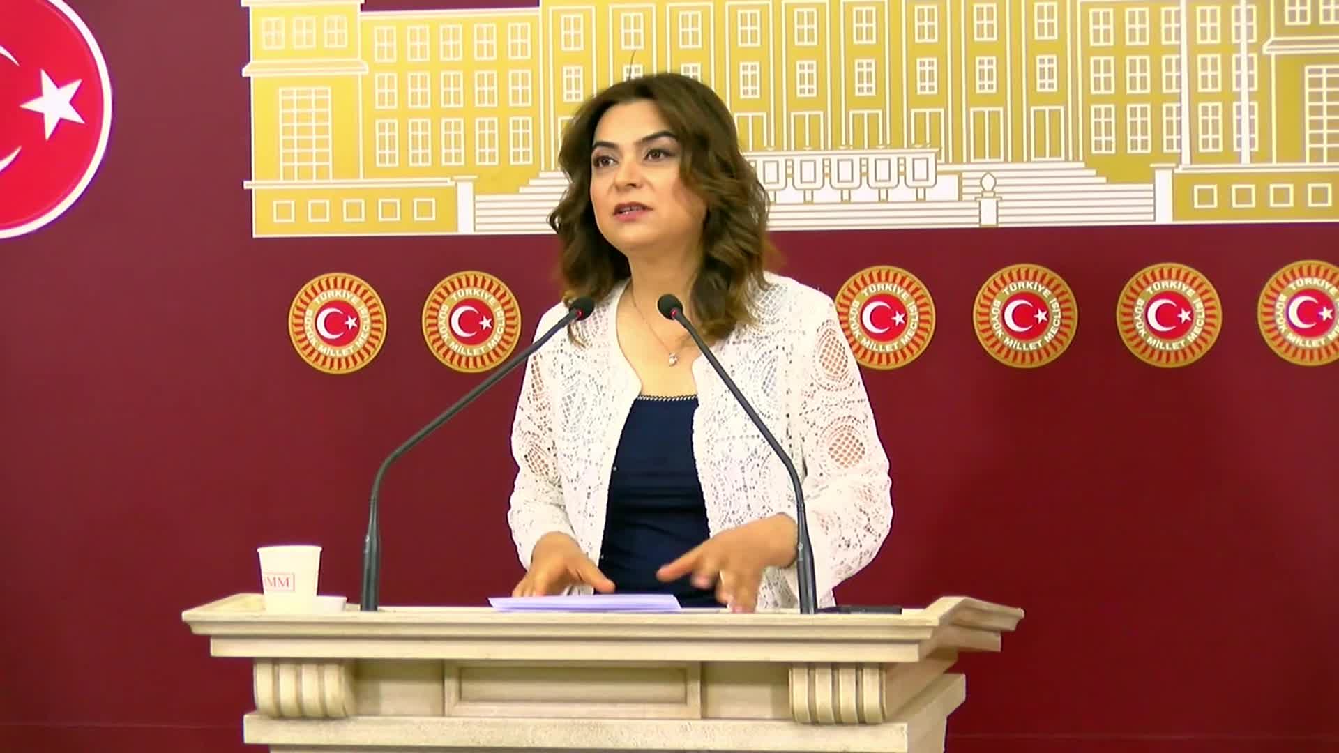 Gülistan Kılıç Koçyiğit'den ''sahte diploma'' tepkisi: "Ahtapot gibi dört koldan bütün kurumları ele geçiren çete sadece buzdağının görünen yüzü"