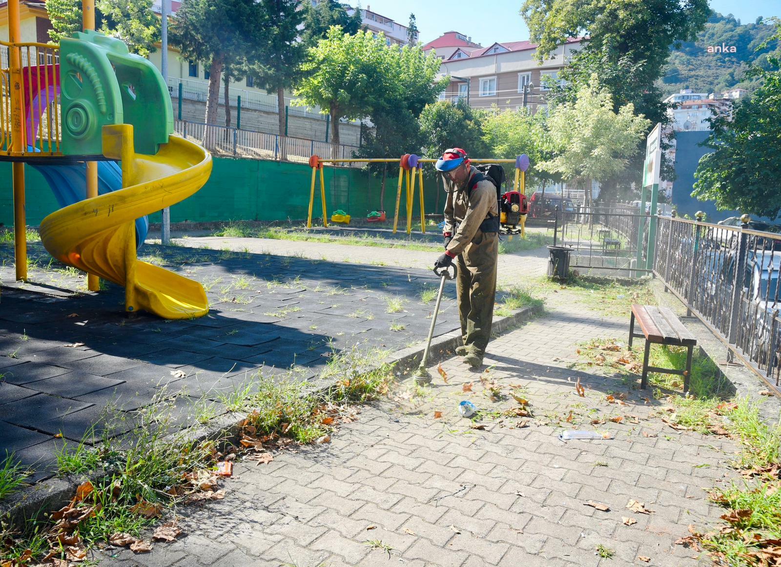 Giresun Belediyesi kent genelinde ot biçme ve temizlik çalışmalarını sürdürüyor