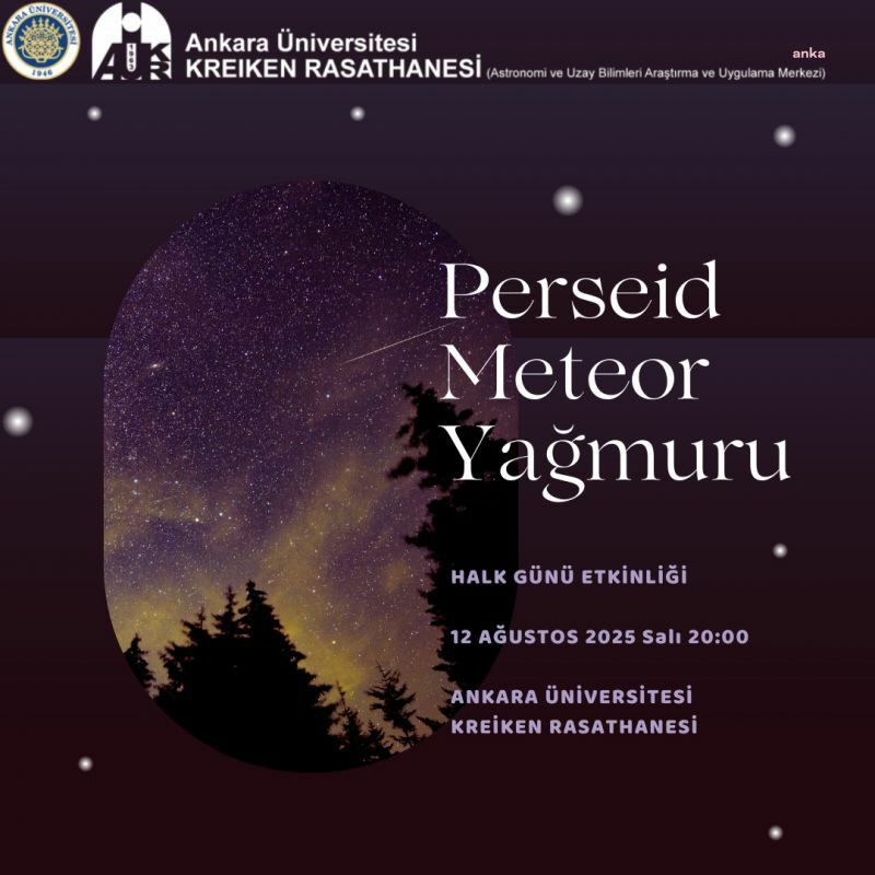 Perseid meteor yağmuru gökyüzünde görsel şölen sunuyor