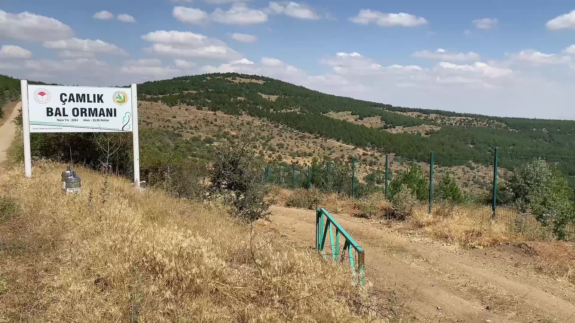 Yozgat’ta ormanlık alanlarda bulunan bal ormanlarında bal hasadı başladı