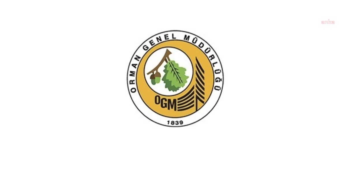 Çanakkale Merkez Elmacık Mahallesi'ndeki orman yangını kontrol altına alındı