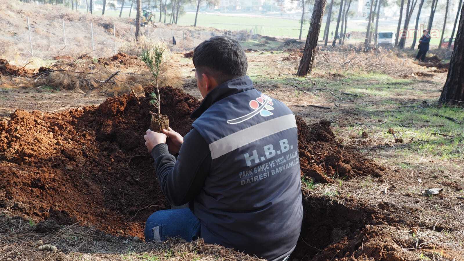 HATAY BÜYÜKŞEHİR BELEDİYESİ, 1 MİLYON FİDAN HEDEFİNE GİDİYOR
