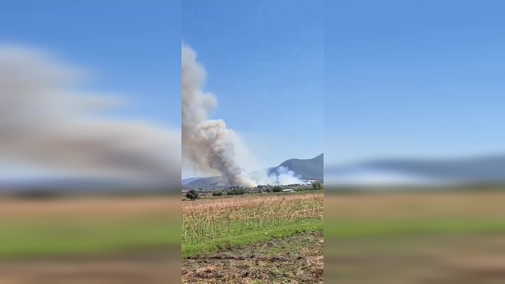 Osmaniye'nin Düziçi ilçesinde orman yangını