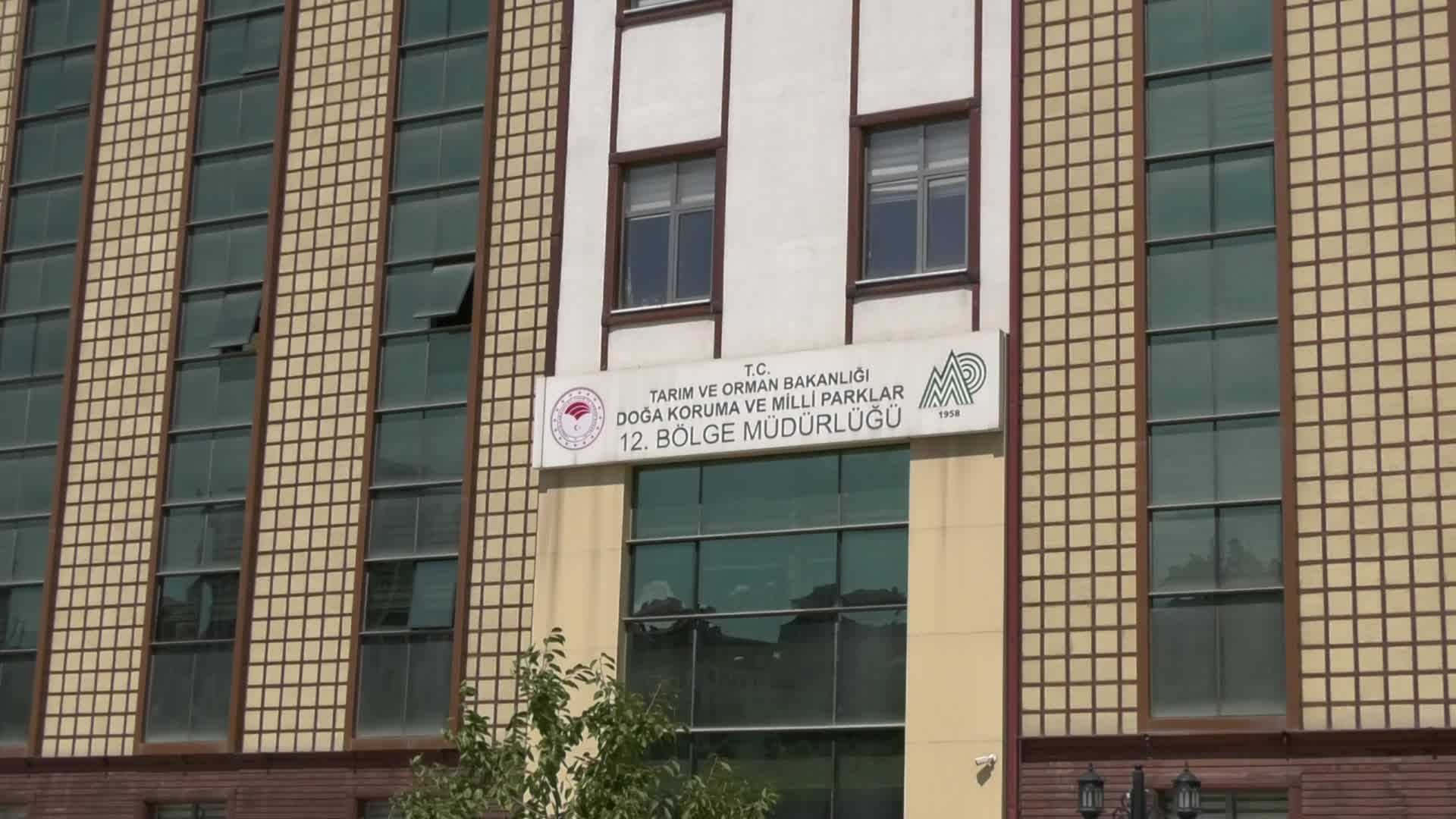 Rize’de doğaseverlerden 27 dağ keçisinin avlanmasına ilişkin ihaleye protesto: "Canlıların canını ihale masalarında satamazsınız"