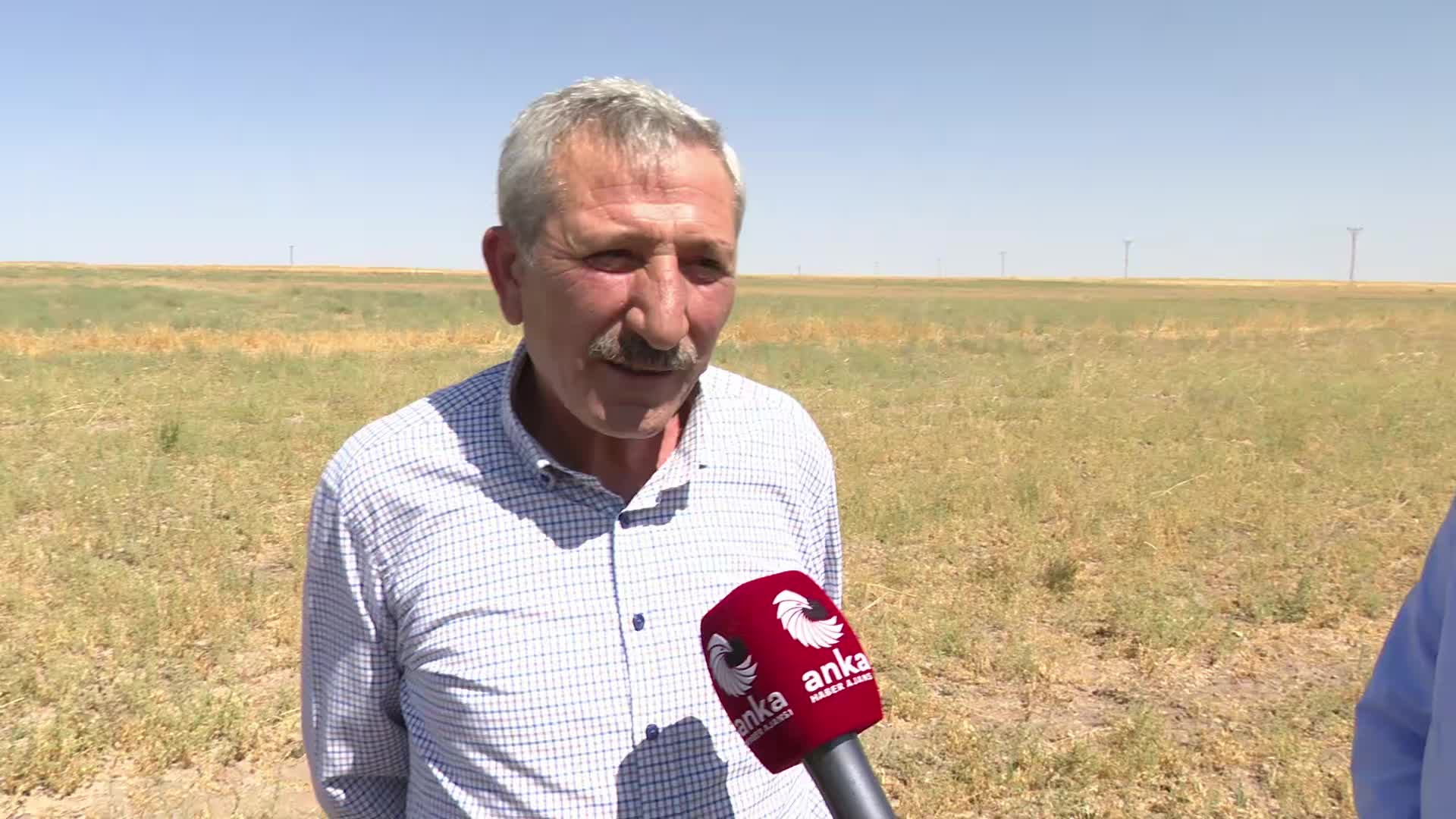 Kırşehir'de kuraklık nedeniyle mahsul tarlada kaldı: "Biz, yetkililerin bir an önce bununla ilgilenmesini, çiftçinin yanında durmasını istiyoruz"