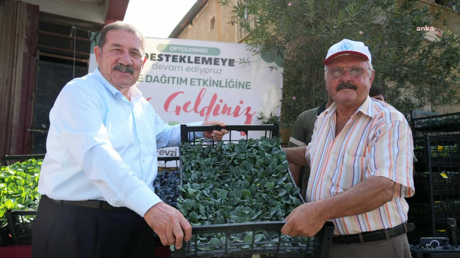 Milas Belediyesi’nden üreticiye kışlık sebze fidesi desteği