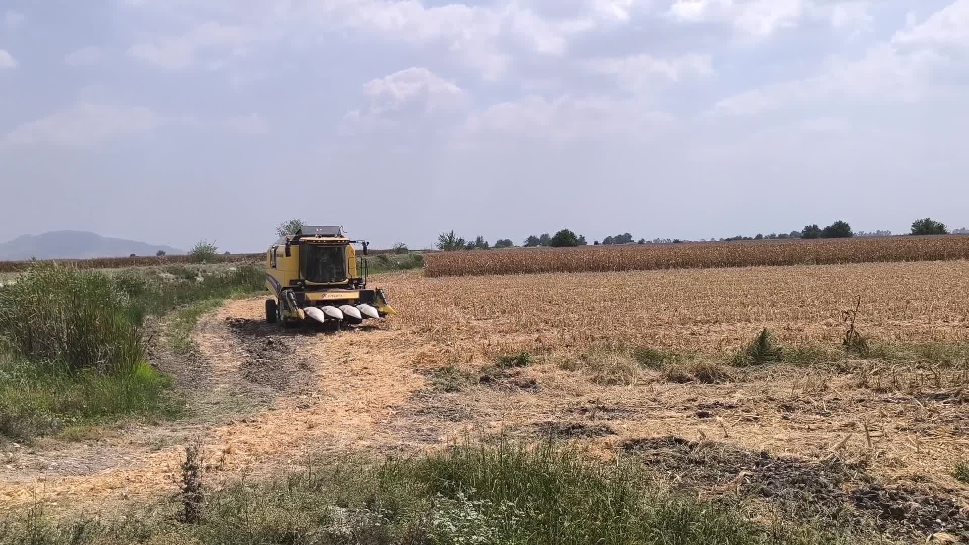 Mısır taban fiyatına tepki gösteren çiftçi: "Kâr yok, ancak banka kredisi var, borcumuz var, ödeyemeyeceğiz artık"