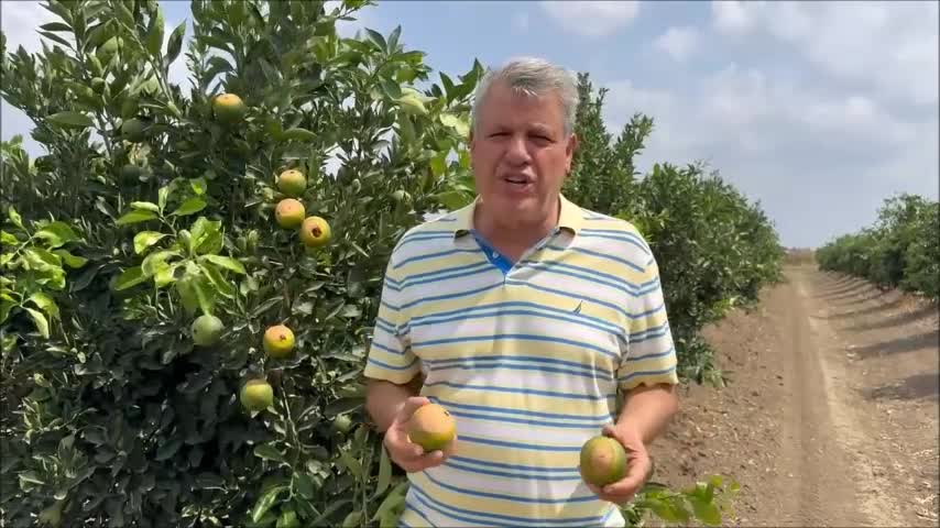 CHP'li Ayhan Barut: "Tarımsal üretimi ve çiftçileri sıcak yaktı"