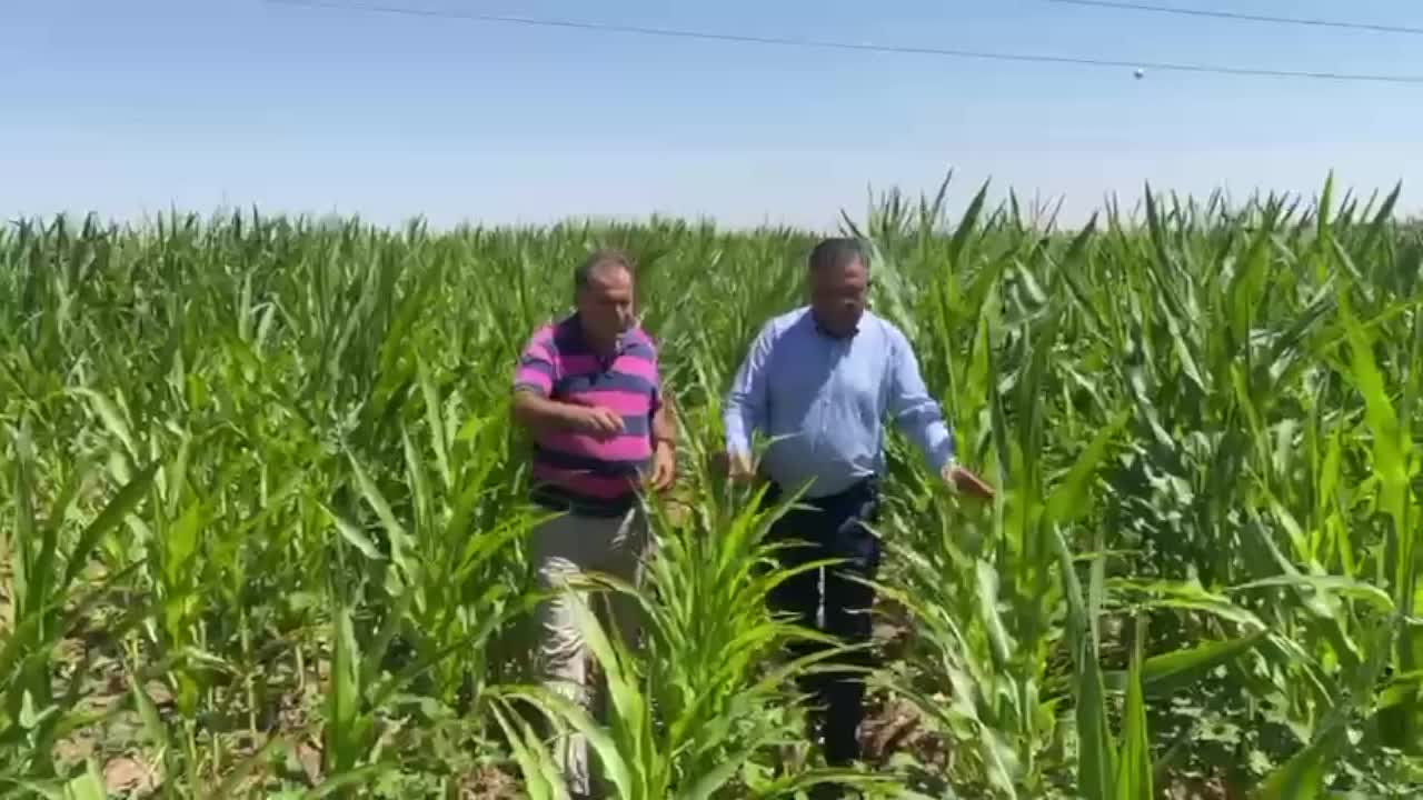 Diyarbakır’da çiftçilerle bir araya gelen CHP’li Tanrıkulu: "AK Parti iktidarları döneminde çiftçiler fakirleşmiştir"