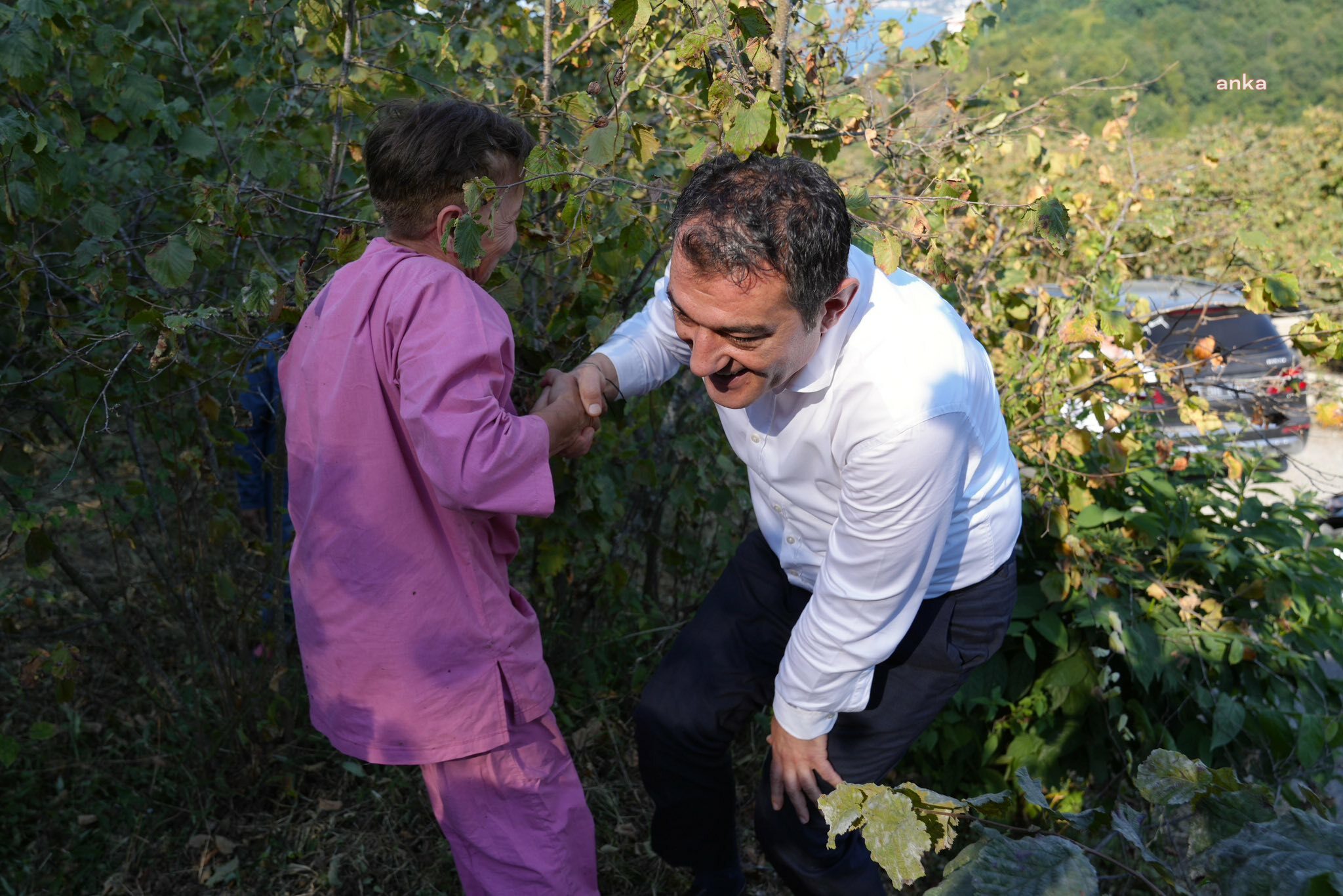 Giresun Belediye Başkanı Köse: "Fındıkta 200 TL’lik fiyat, maliyeti bile karşılamıyor"
