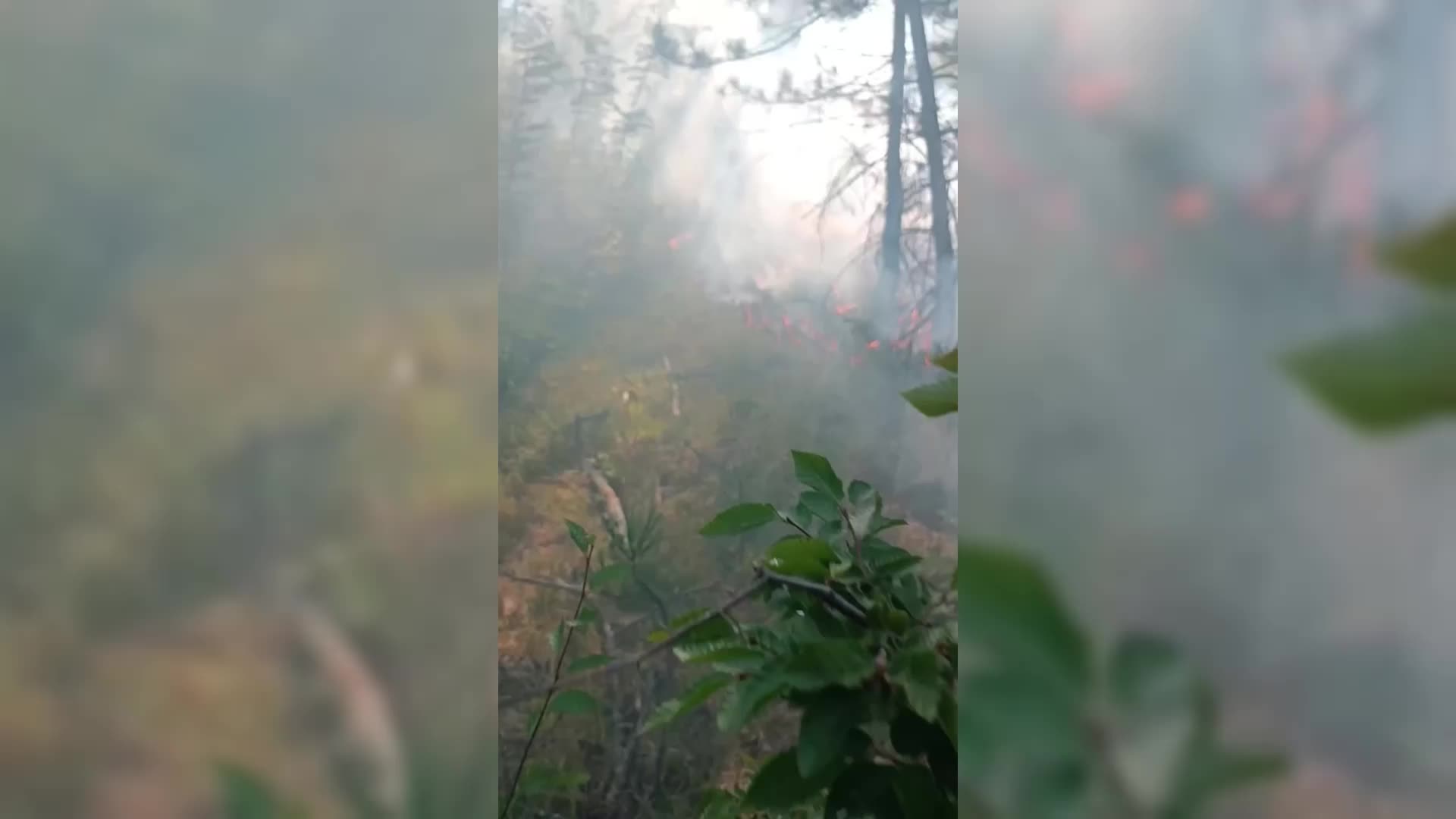Sinop’ta köylülerin müdahalesi orman yangınını önledi