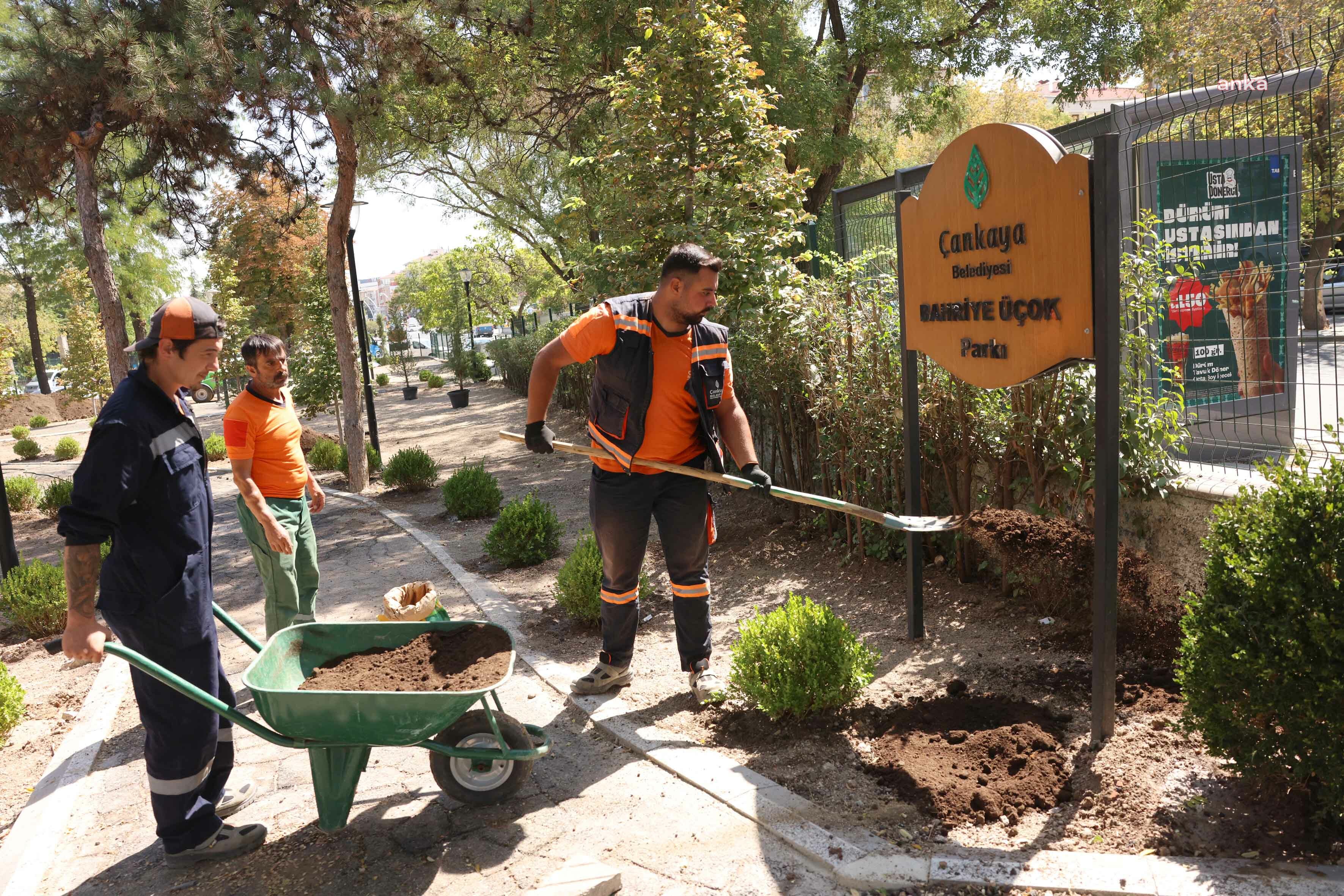 Çankaya Belediyesi Bahriye Üçok Parkı’nı yeniledi