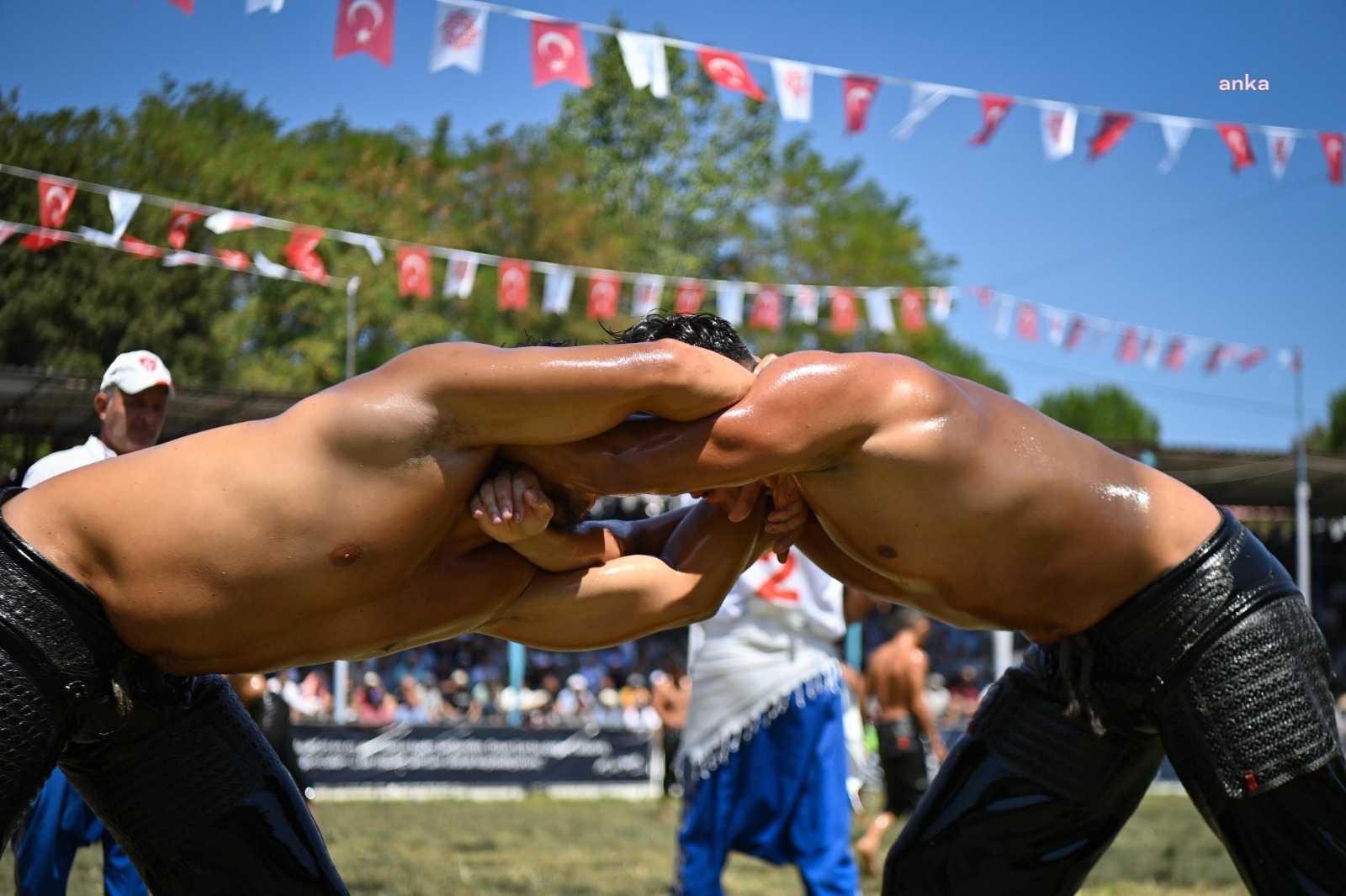 Kurtdereli Mehmet Pehlivan Yağlı Güreşleri’nde bin 730 pehlivan kol bağlayacak