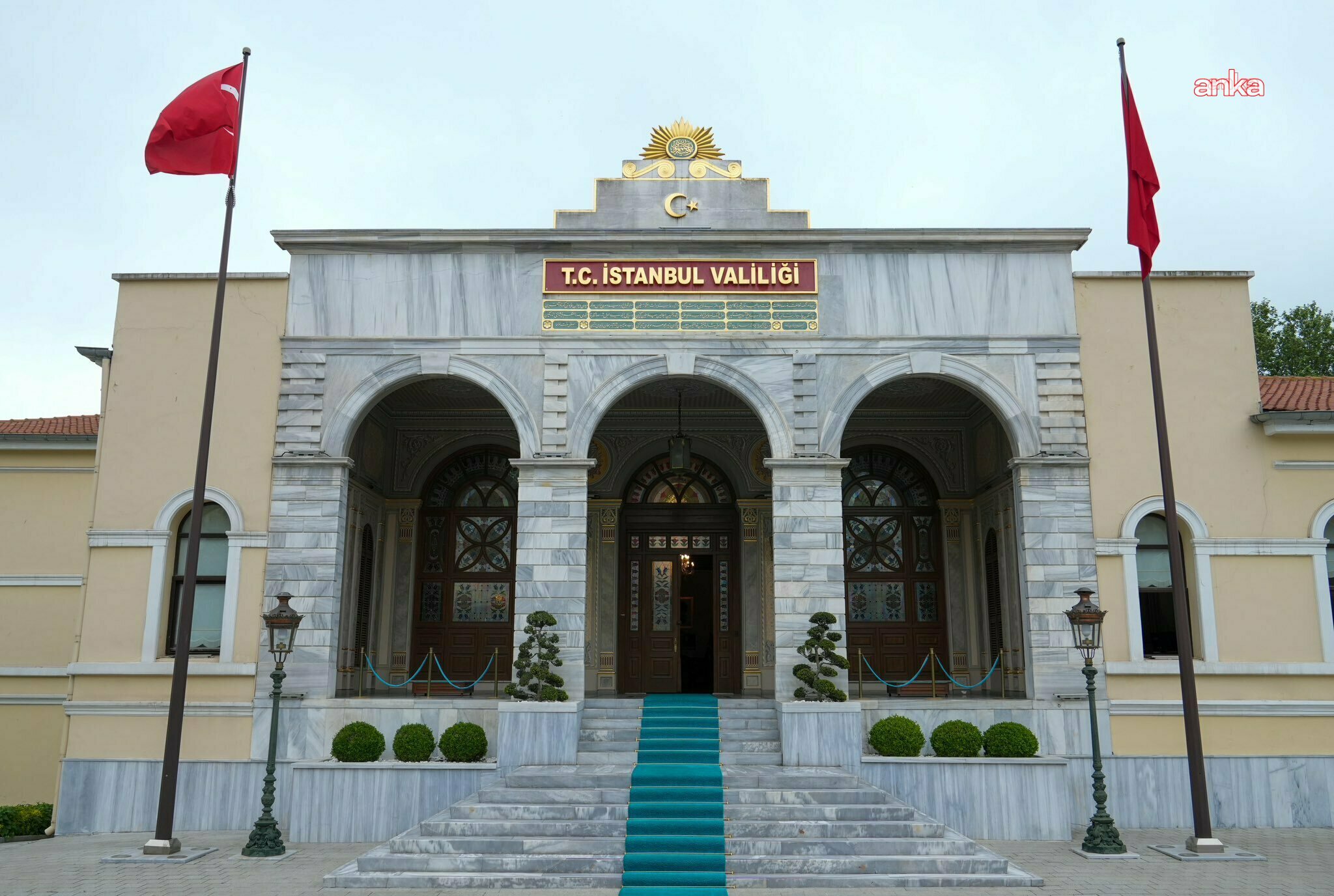 İstanbul Valiliği, ilgili kurumlardan kentteki sokak hayvanlarını toplamalarını istedi