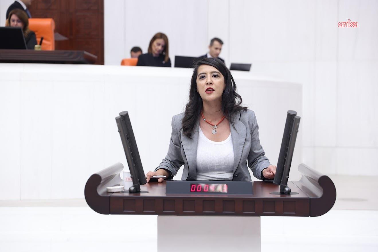 EMEP’li Karaca, Digel Tekstil’deki işçilerin çalışma koşullarını Meclis’e taşıdı