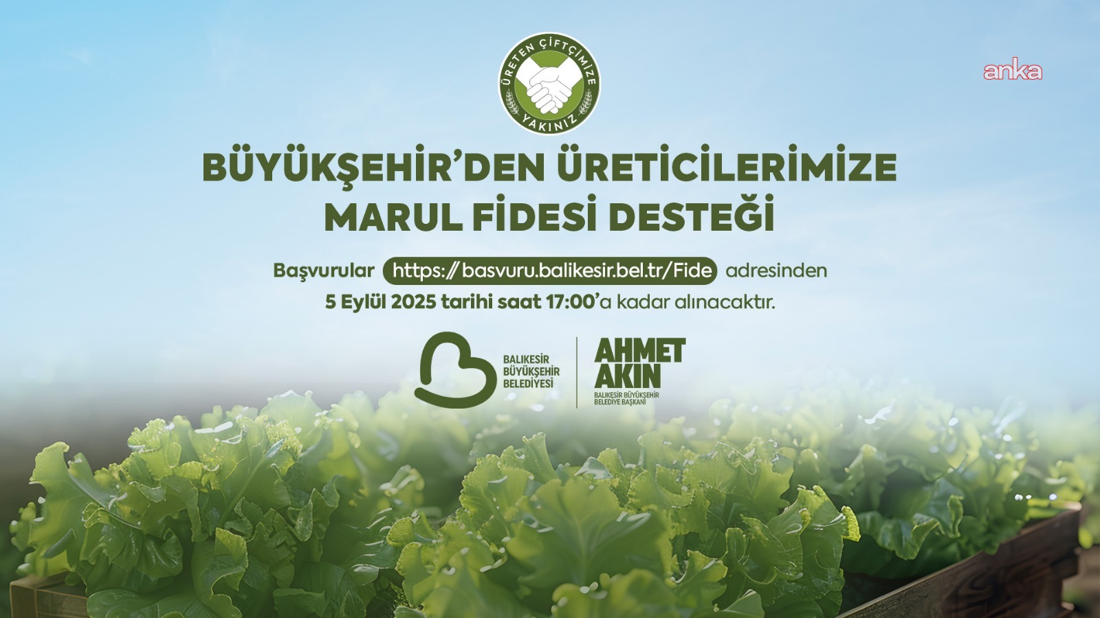 Balıkesir Büyükşehir Belediyesi'nden çiftçilere marul fidesi desteği