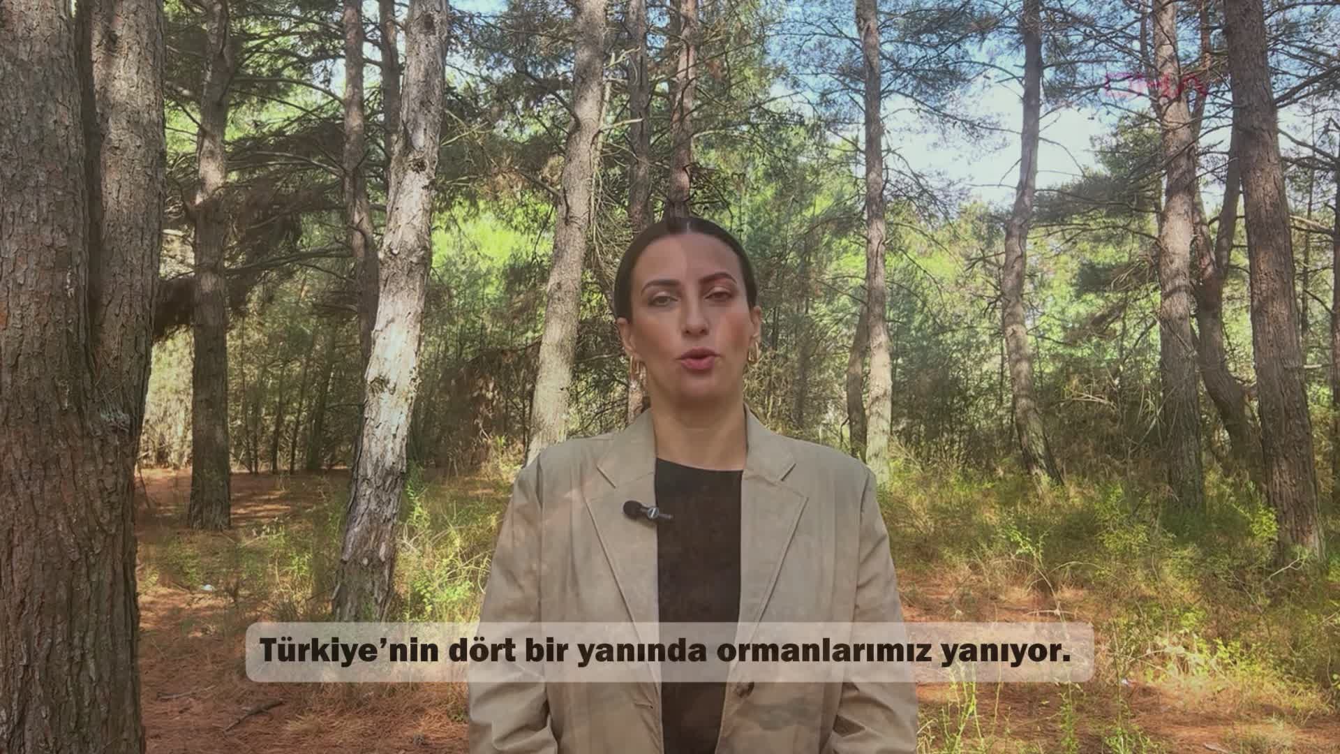 CHP İstanbul Milletvekili Rızvanoğlu: "Doğa bir bütündür. En azından bu sezon, av tamamen yasaklanmalı"