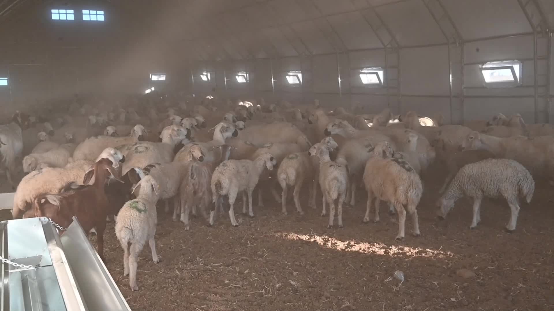 Yozgat’ta besicilere çadır ağıl desteği