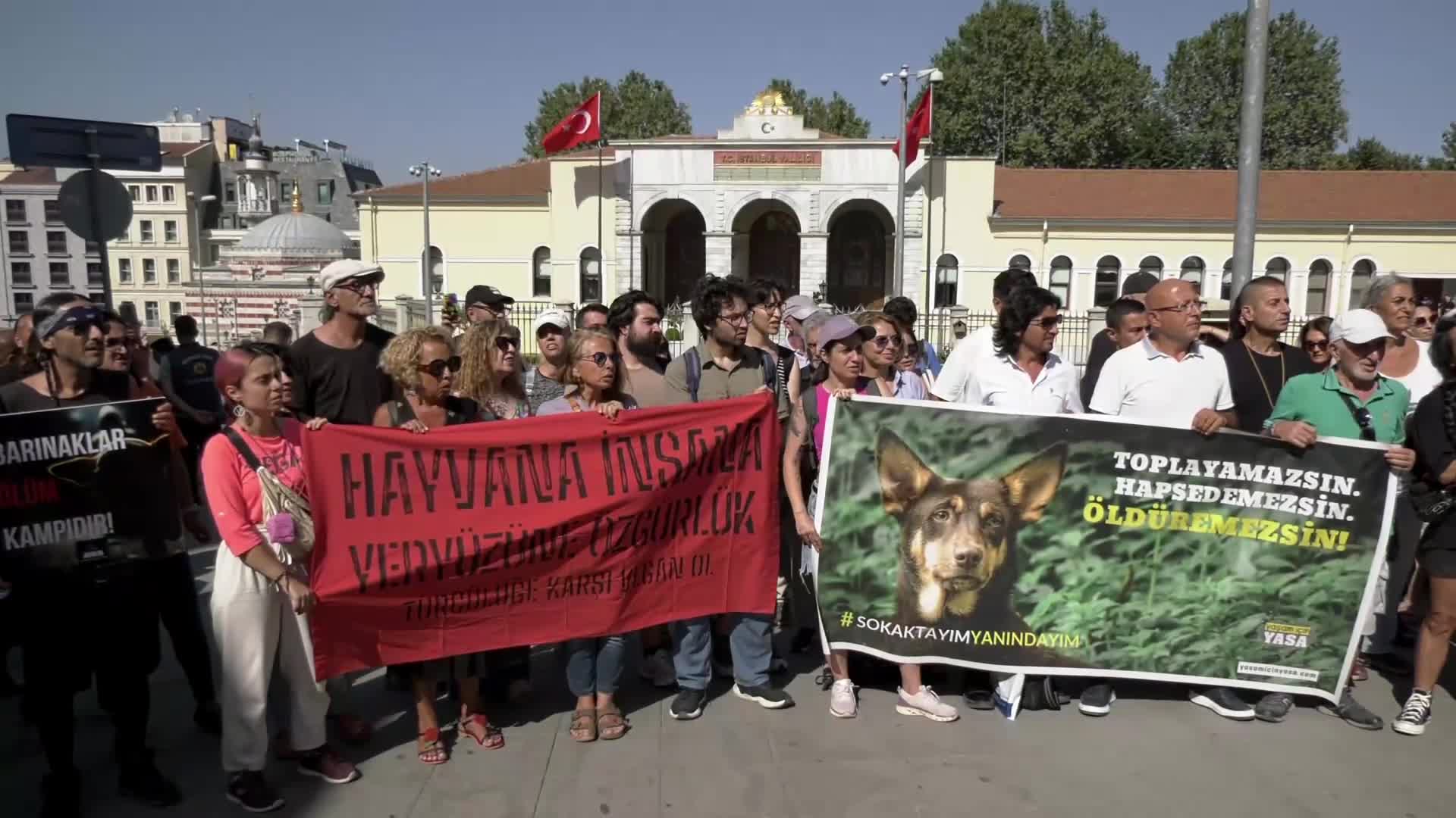 Hayvan hakları savucuları İstanbul Valiliği önünde "toplatma" genelgesini protesto etti:  Sokakların güvensiz olmasının nedeni köpekler değil; iktidarın şiddeti sıradanlaştıran, meşrulaştıran, cezasızlıkla ödüllendiren politikaları